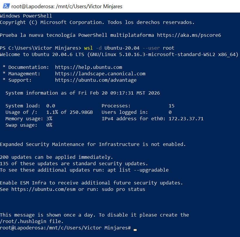 Login in WSL as root